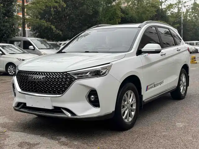 HAVAL  M6