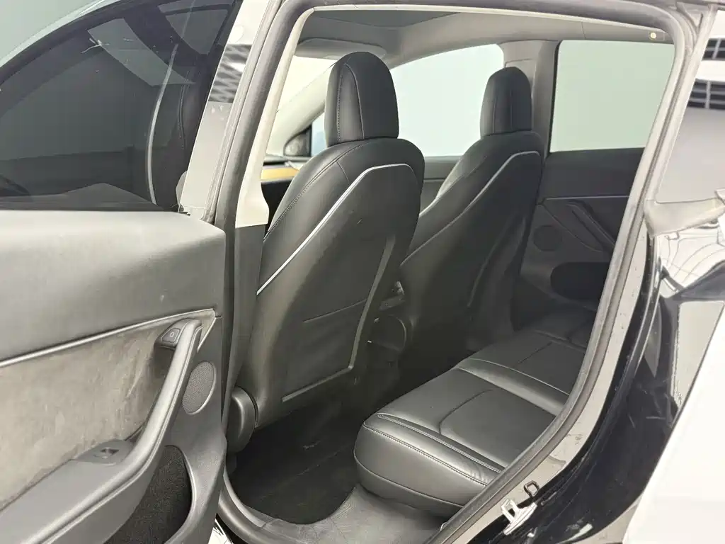 Tesla Model Y — миниатюра 6