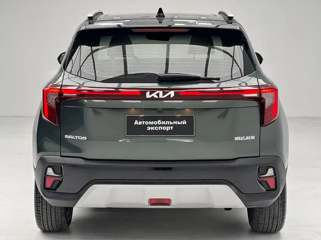 Kia Seltos — миниатюра 12