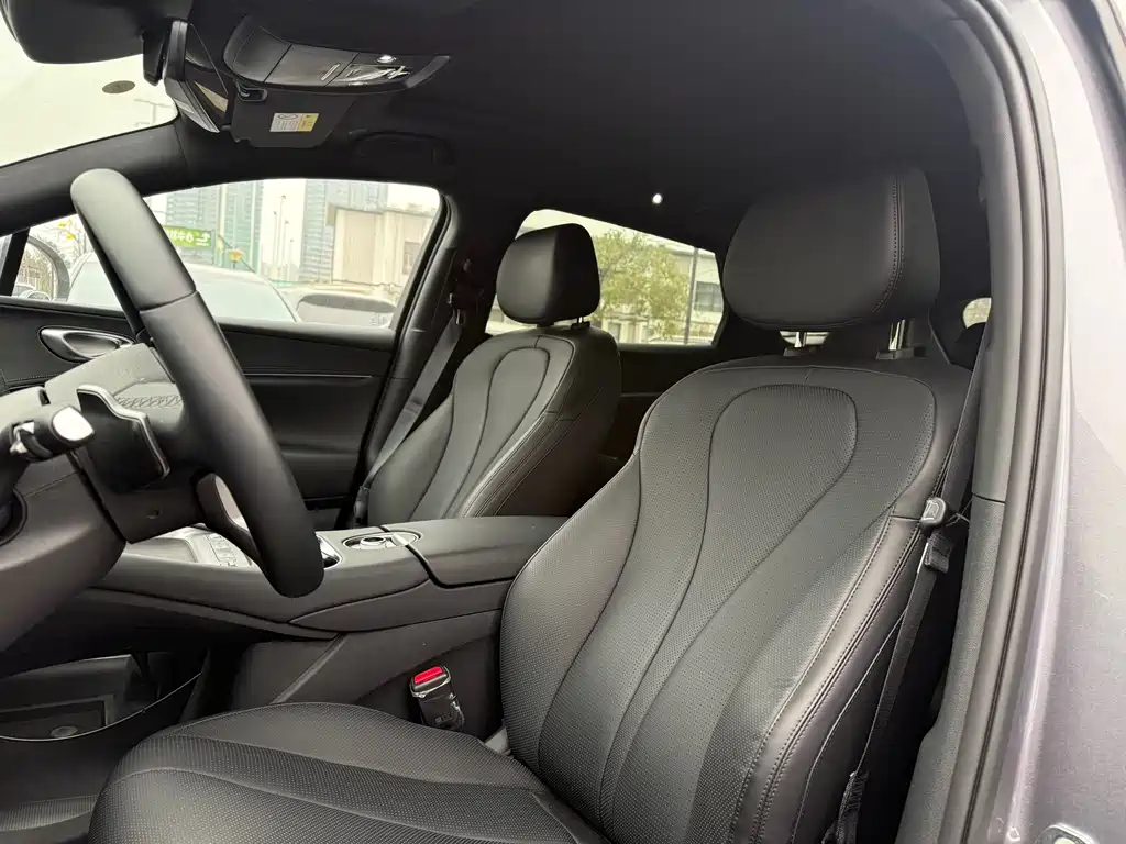 BYD SEA LION 06 NEW ENERGY