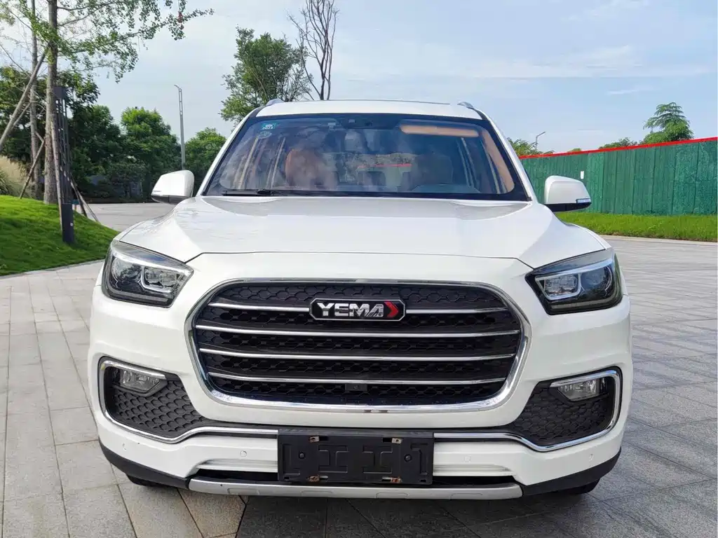 MUSTANG MOTORS MUSTANG T80