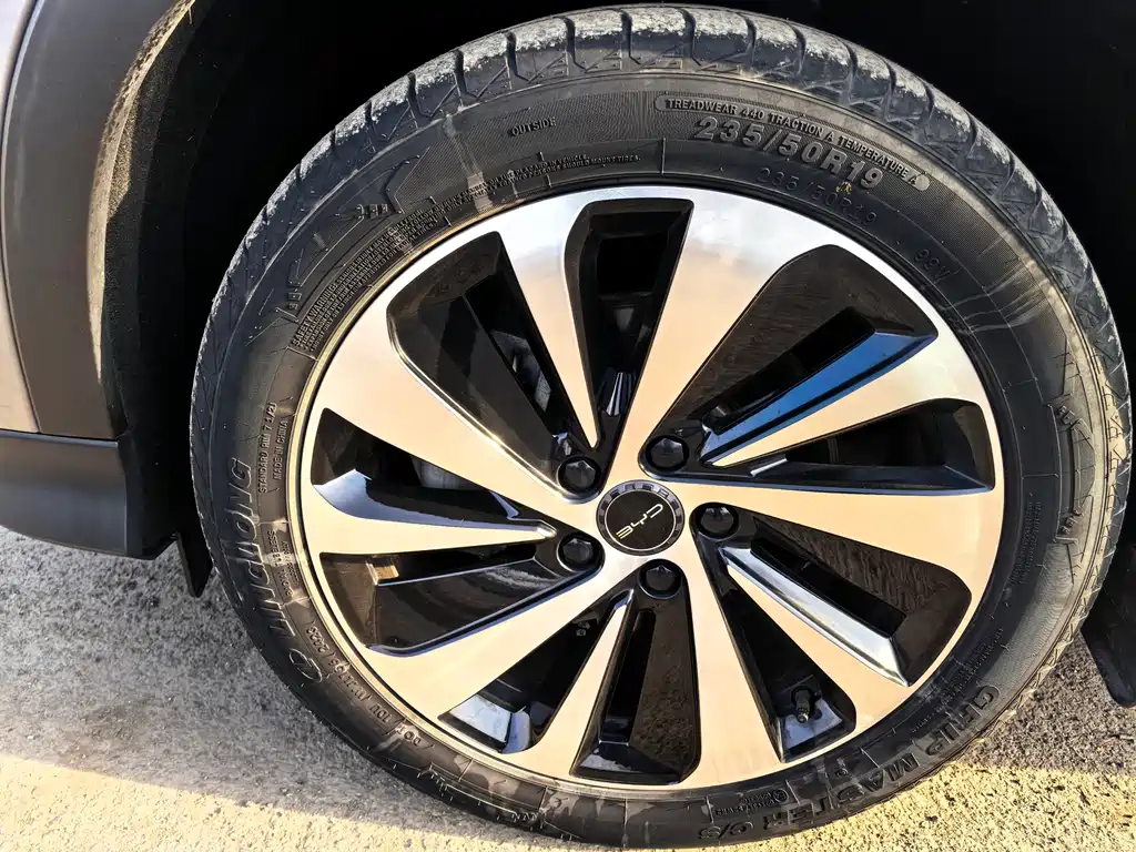 BYD SONGJIANG NEW ENERGY