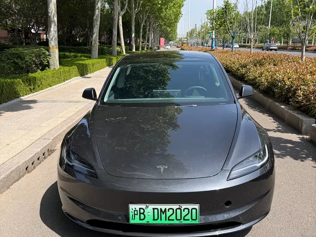 Tesla Model 3 2025