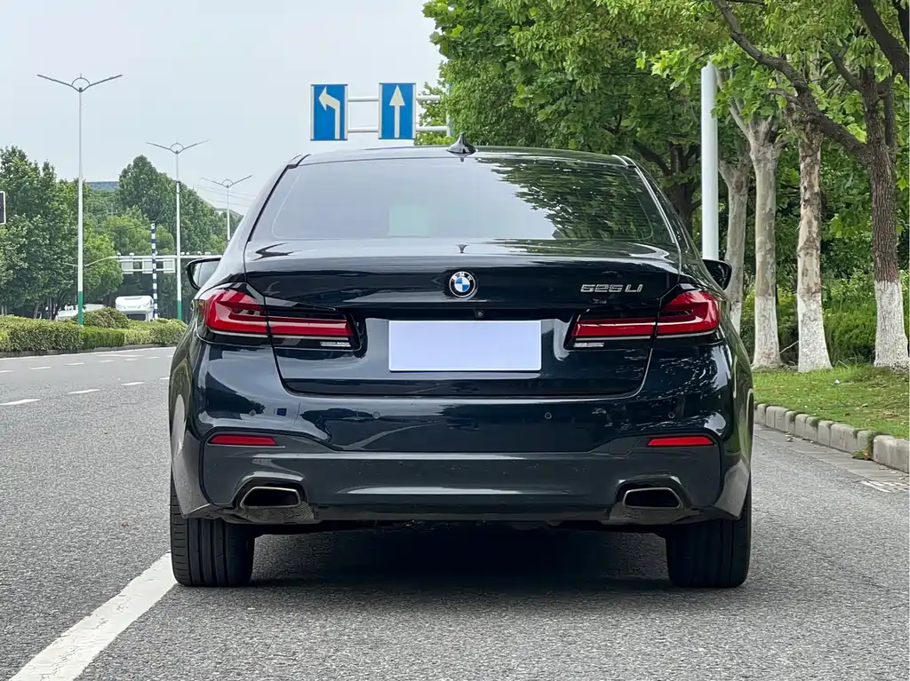 BMW 5 Series 5 2020 525Li M Sport