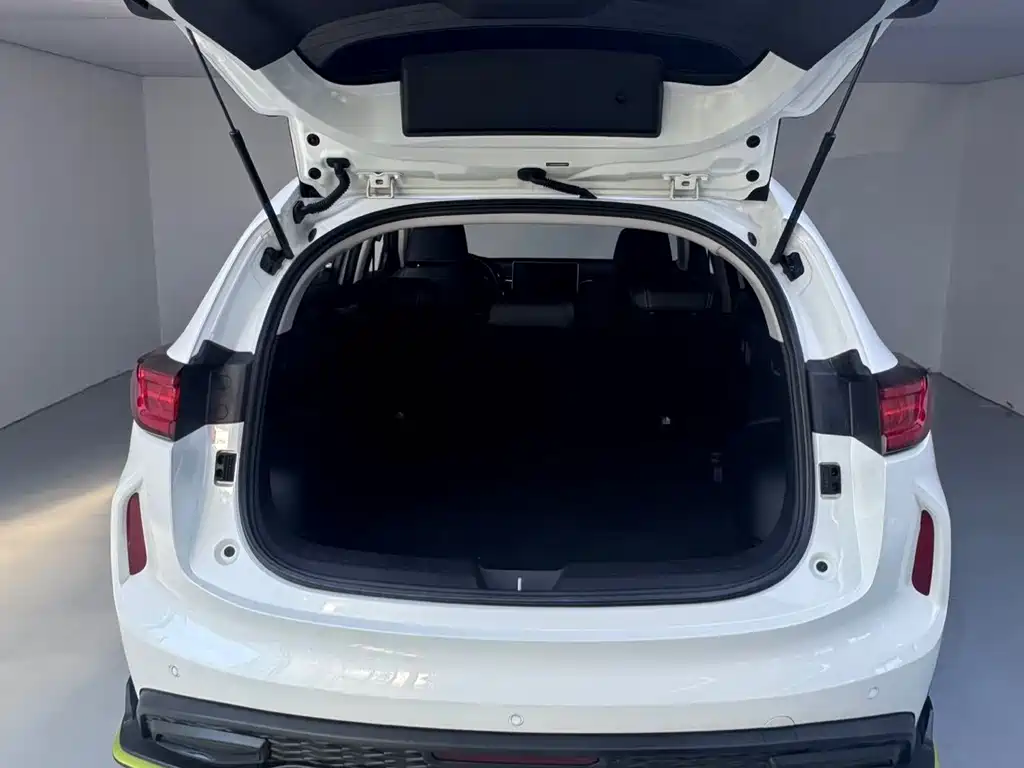 Haval Chitu — миниатюра 7