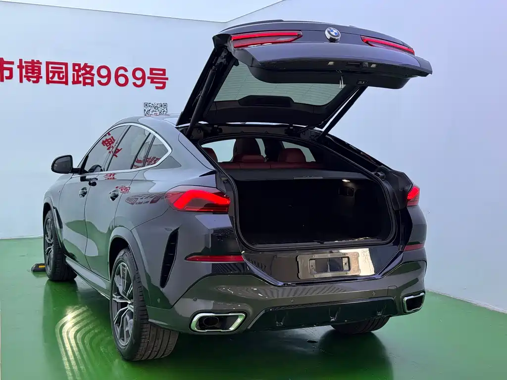 BMW X6 — миниатюра 35
