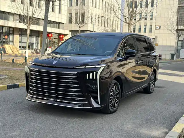 DONGFENG XINGHAI V9 2024