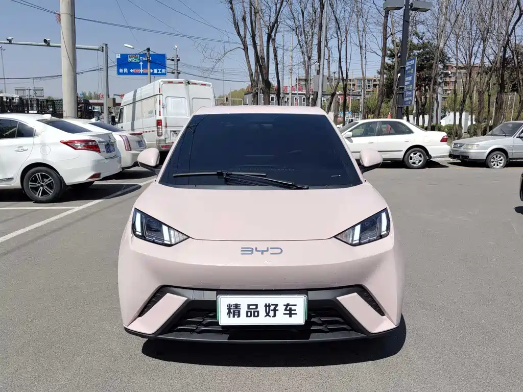 Byd Seagull 2024