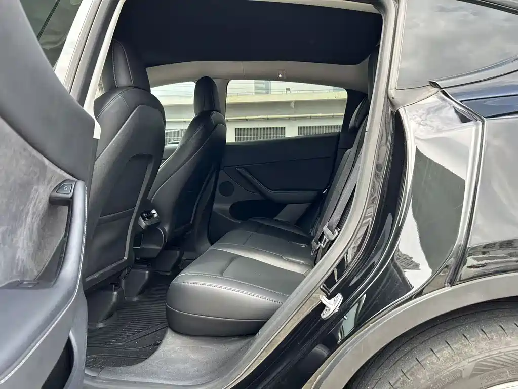Tesla Model Y — миниатюра 6