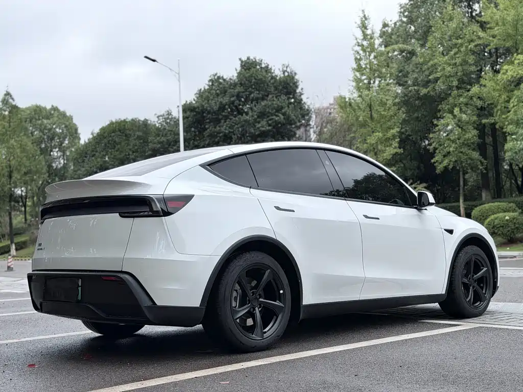 Tesla Model Y — миниатюра 17