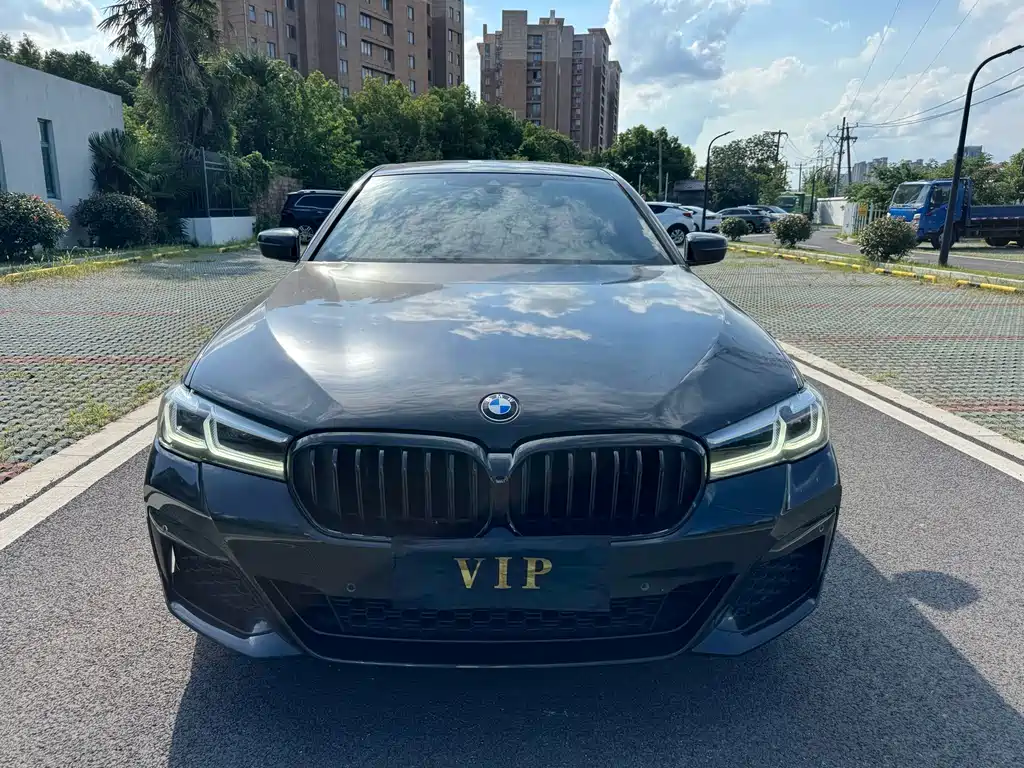 BMW 5 Series (Import) — миниатюра 2
