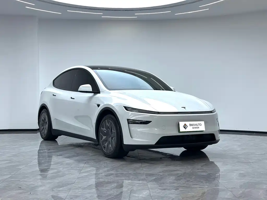 Tesla Model Y L — миниатюра 8