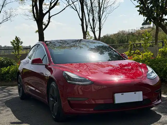 TESLA MODEL 3 2019
