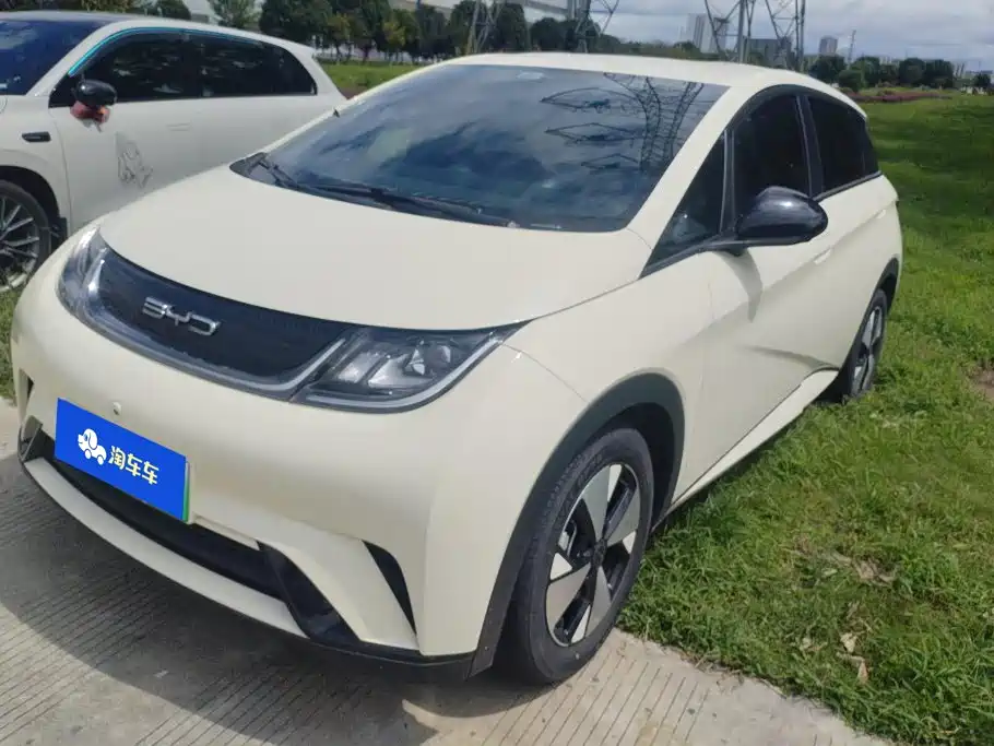 BYD Dolphin