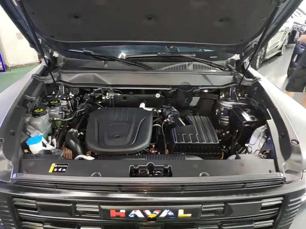 Haval Menglong New Energy — миниатюра 20