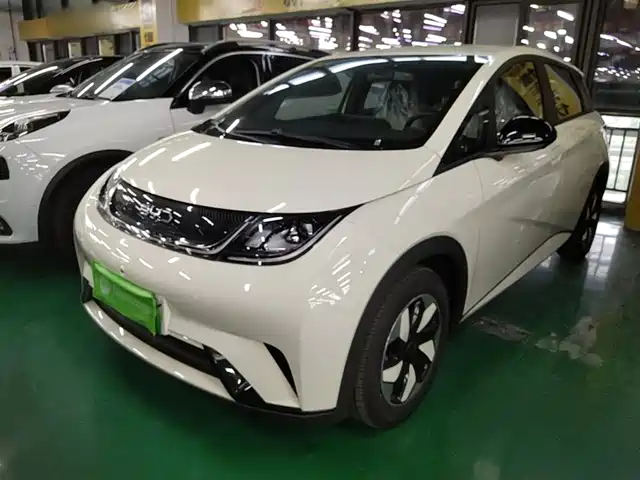 2026 BYD Dolphin