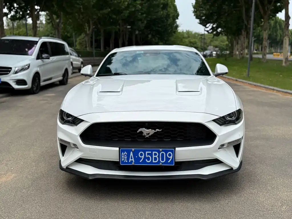 Ford Mustang — миниатюра 2
