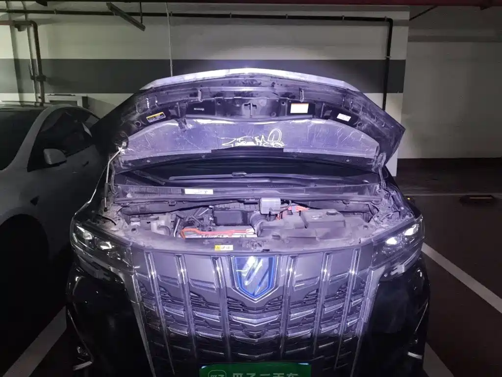 Toyota Alphard — миниатюра 11