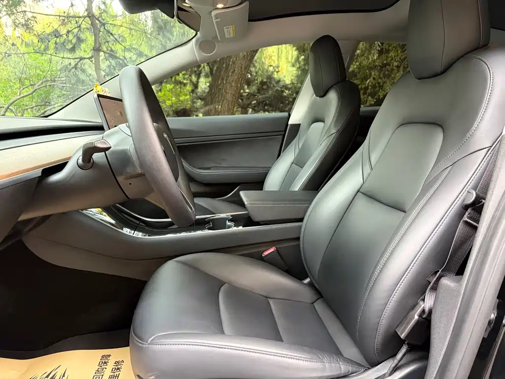 Tesla Model 3 — миниатюра 13