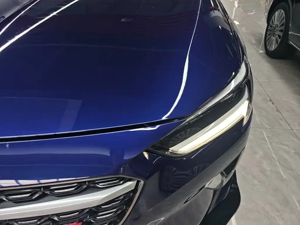 Buick Regal — миниатюра 24
