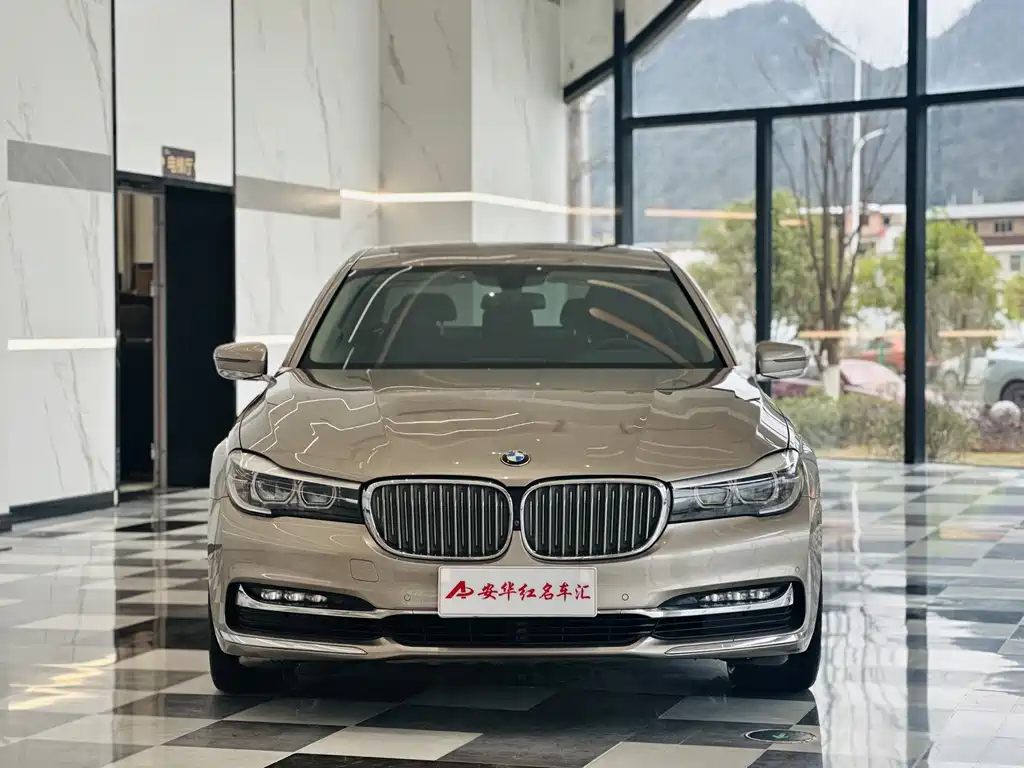 BMW 7 Series 7 2018 730Li Lead