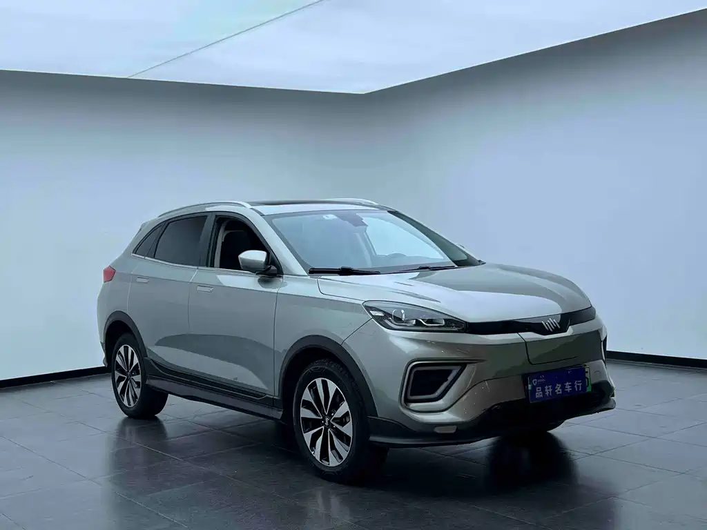 WM Motor EX5 — миниатюра 7