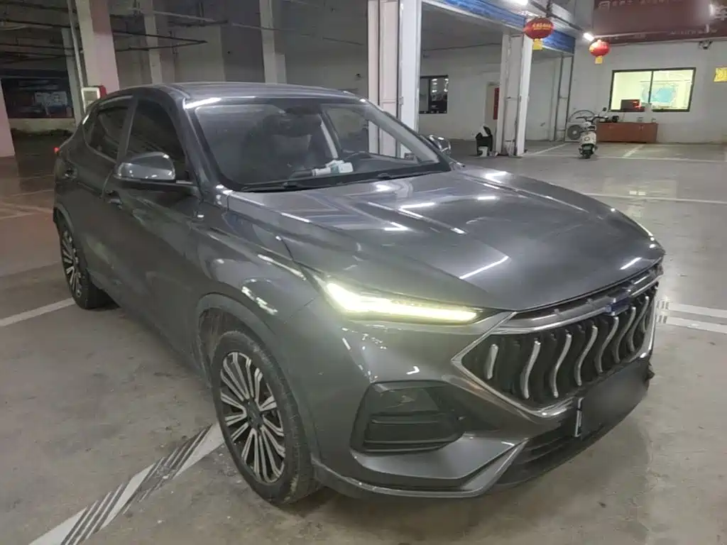 Oshan Oushang X5 — миниатюра 4