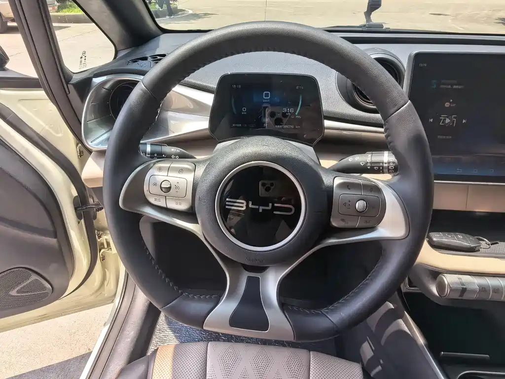 BYD Dolphin 2023 420km Fashion