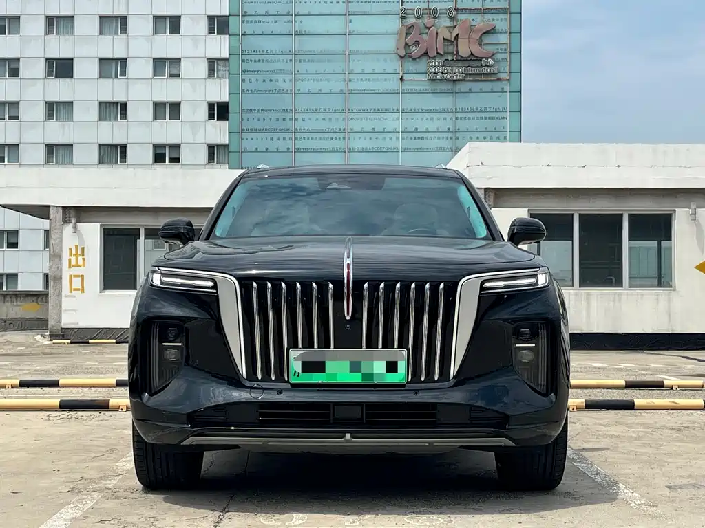Hongqi E-HS9 2021 510km мест