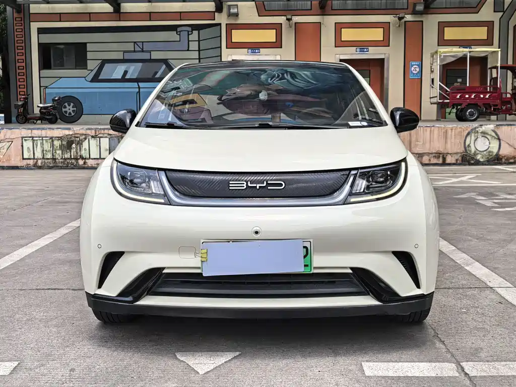 BYD Dolphin 2023 420km Fashion