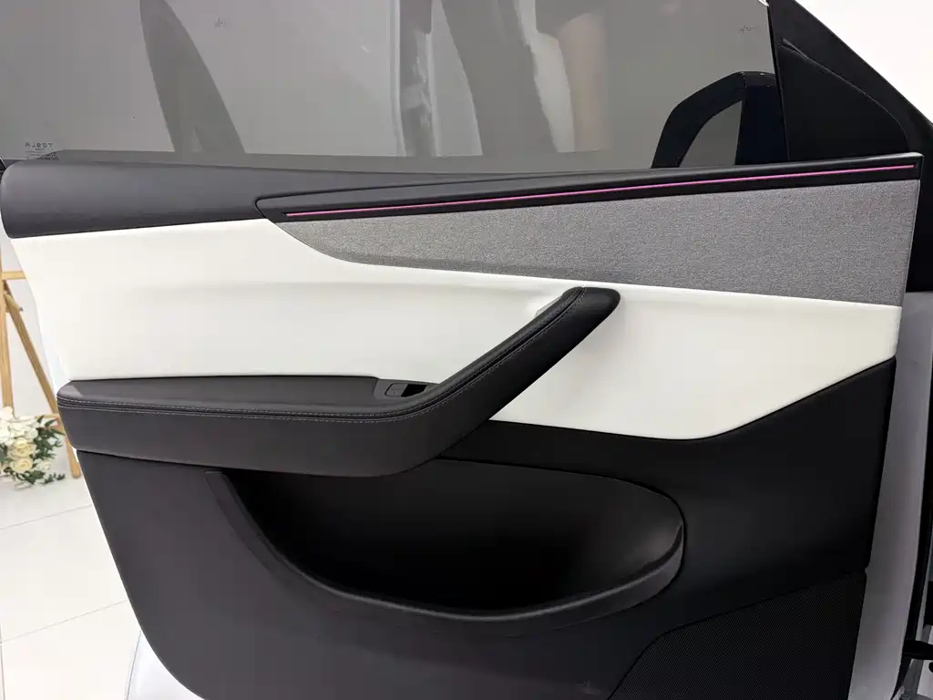Tesla Model Y — миниатюра 4