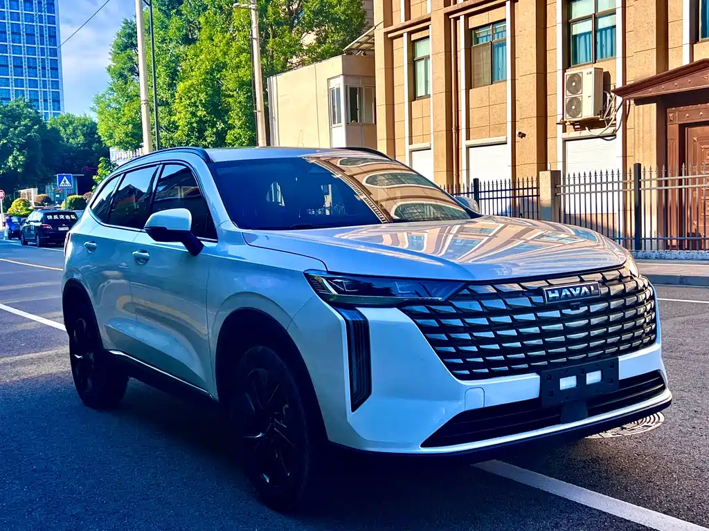 Haval H6 — миниатюра 3