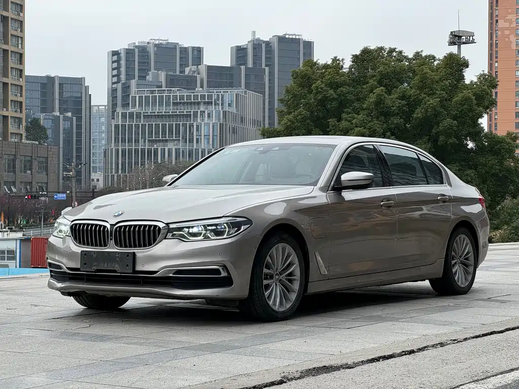 BMW 5 Series New Energy 2020