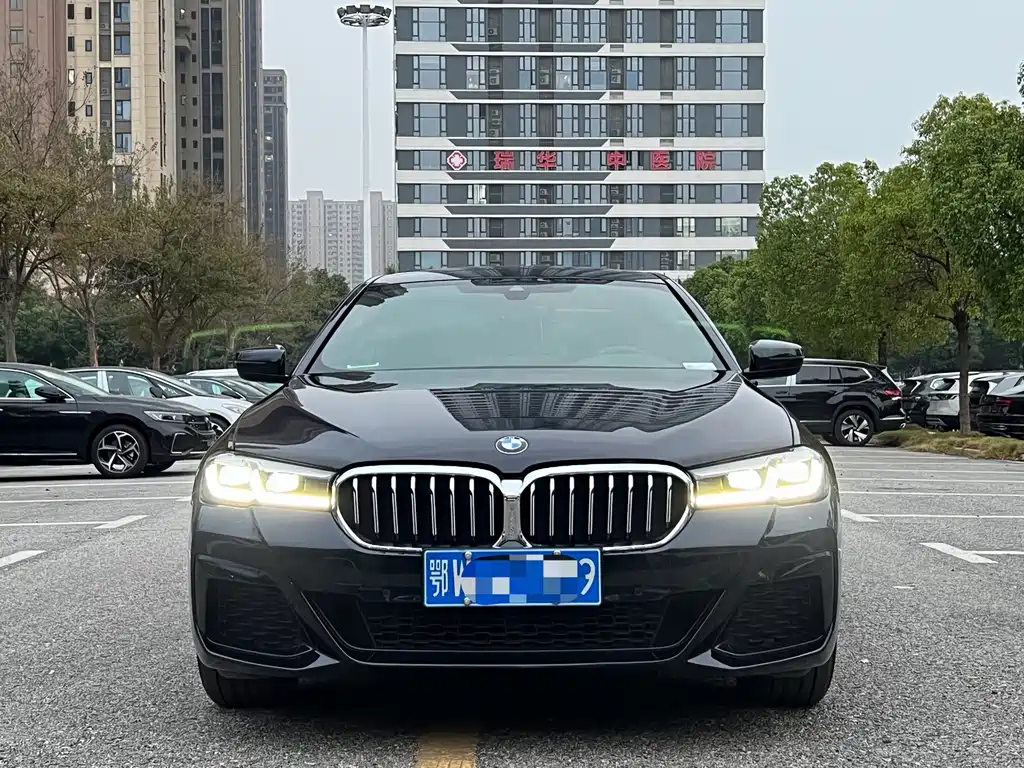 BMW 5 Series — миниатюра 2
