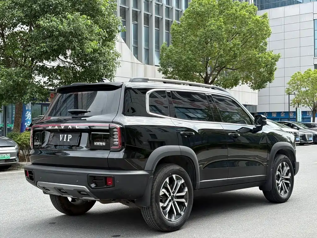 Haval 长城大狗 — миниатюра 15