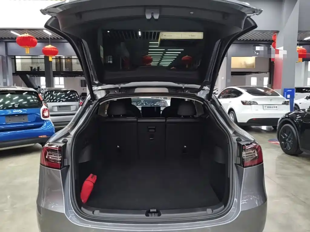Tesla Model Y — миниатюра 19