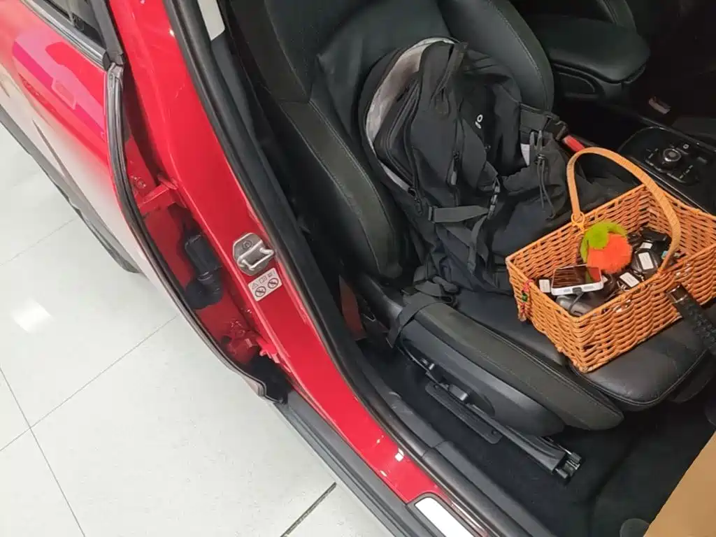 MINI Mini Countryman — миниатюра 25