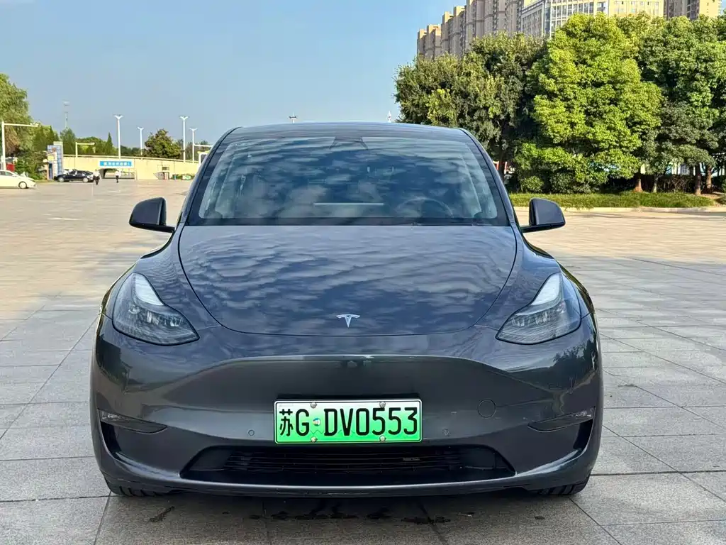 Tesla Model Y — миниатюра 2