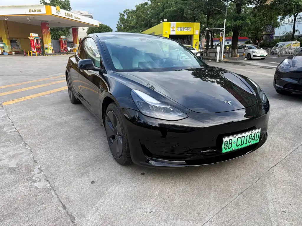 Tesla Model 3 — миниатюра 3