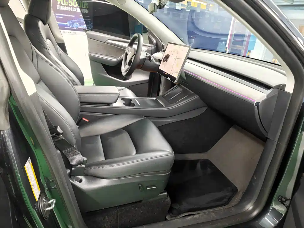 Tesla Model Y — миниатюра 11