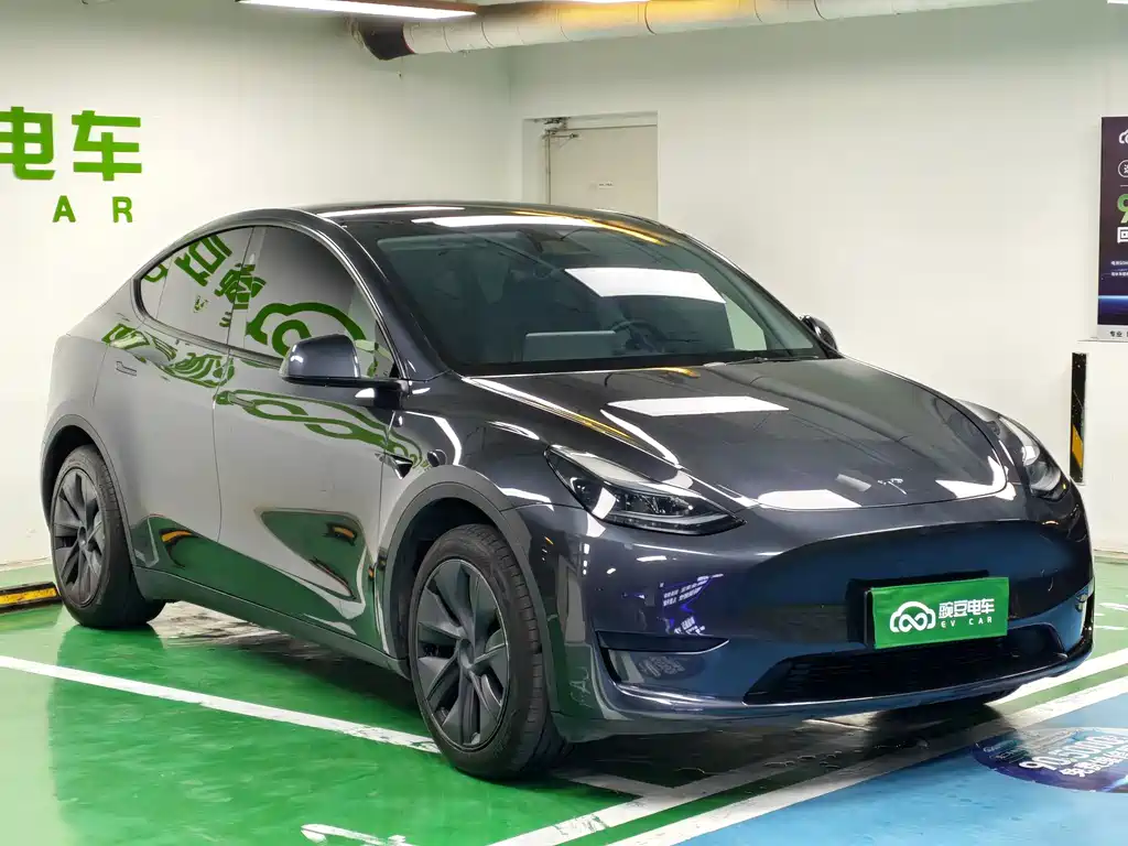 Tesla Model Y — миниатюра 4