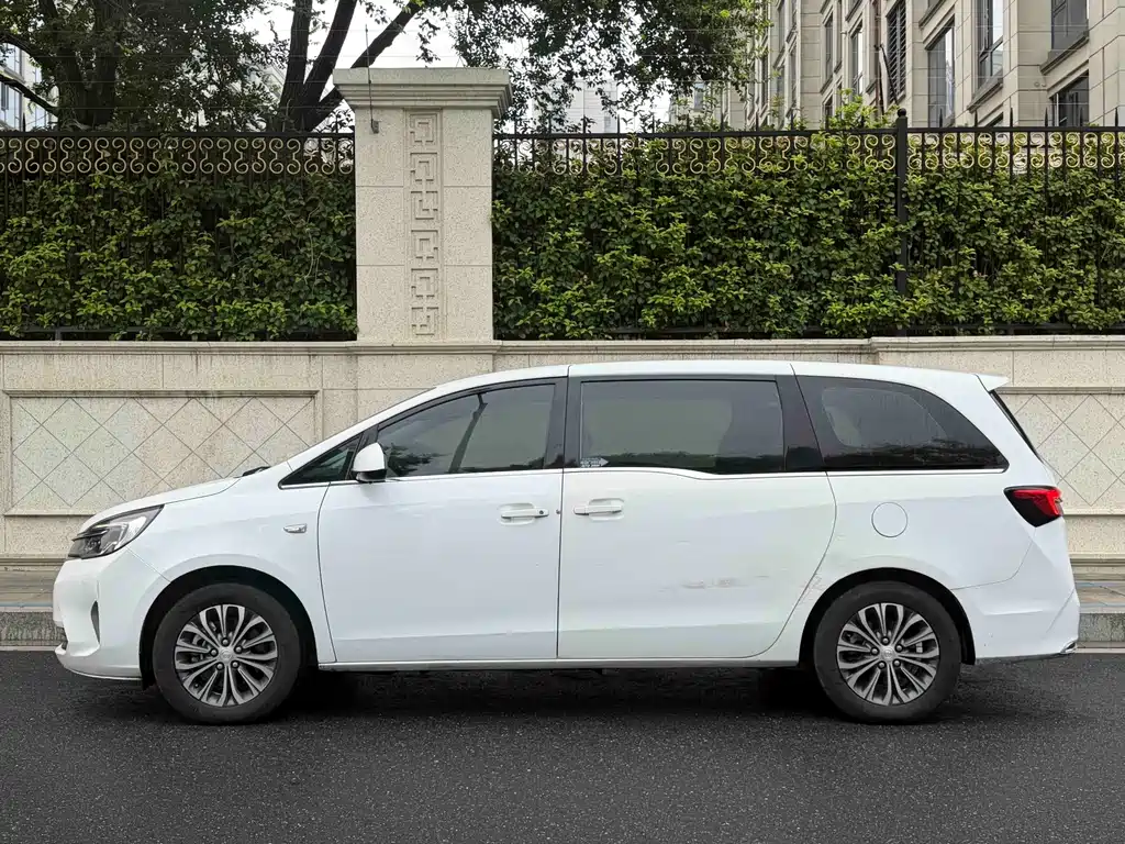 Buick GL8 — миниатюра 3