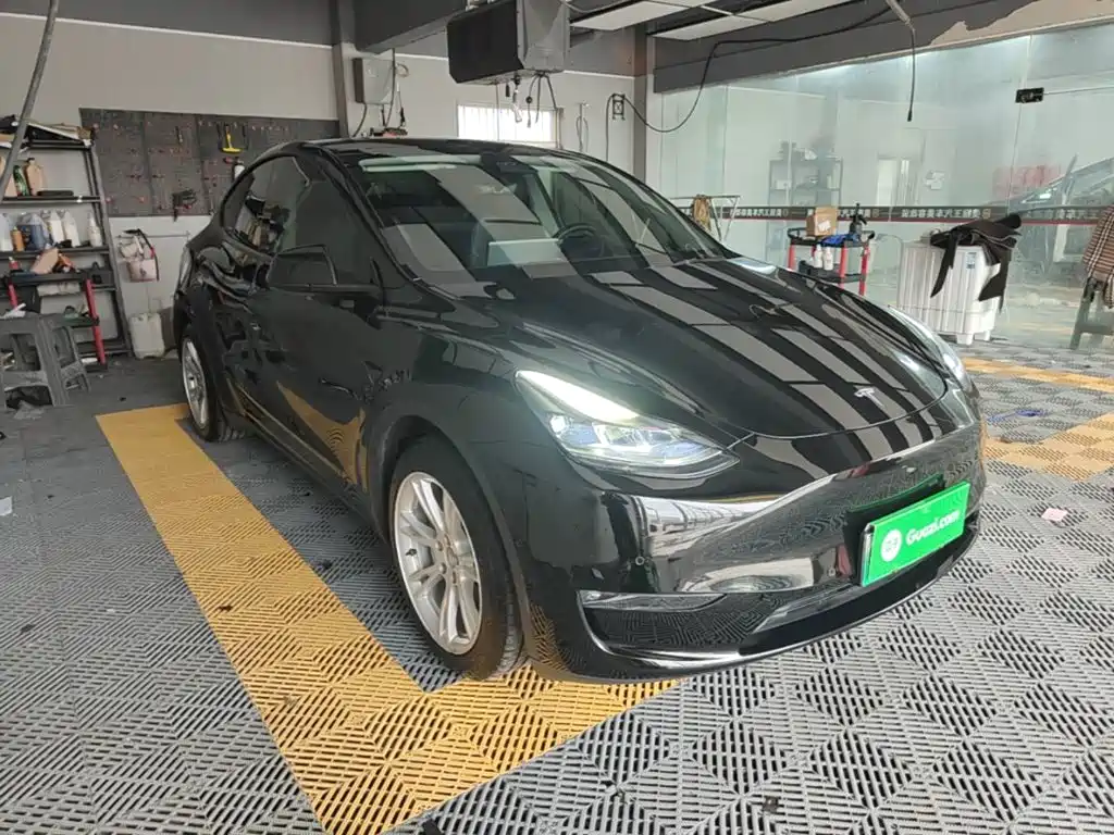 Tesla Model Y — миниатюра 4