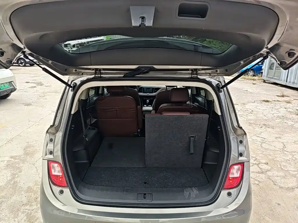 Buick GL6 — миниатюра 19