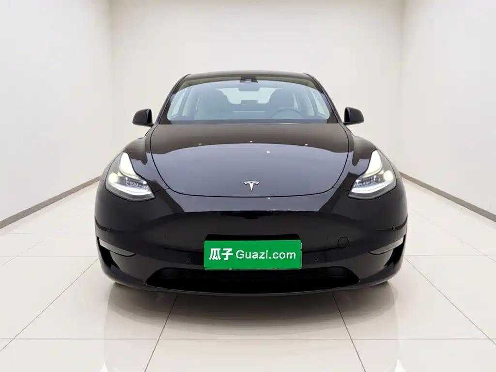 Tesla Model Y — миниатюра 2