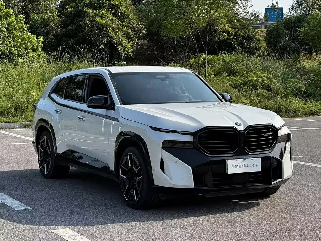 BMW XM — миниатюра 4