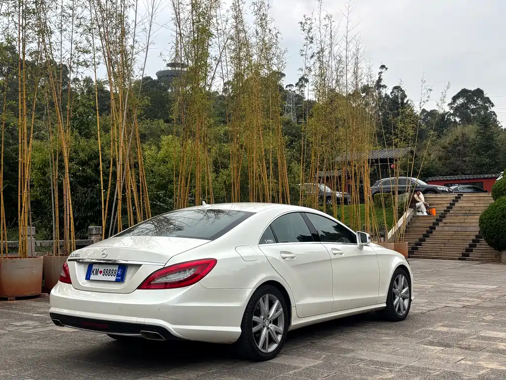 Mercedes-Benz CLS — миниатюра 14