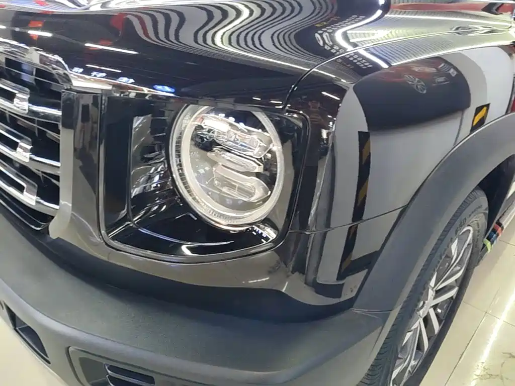 Haval Big Dog — миниатюра 24
