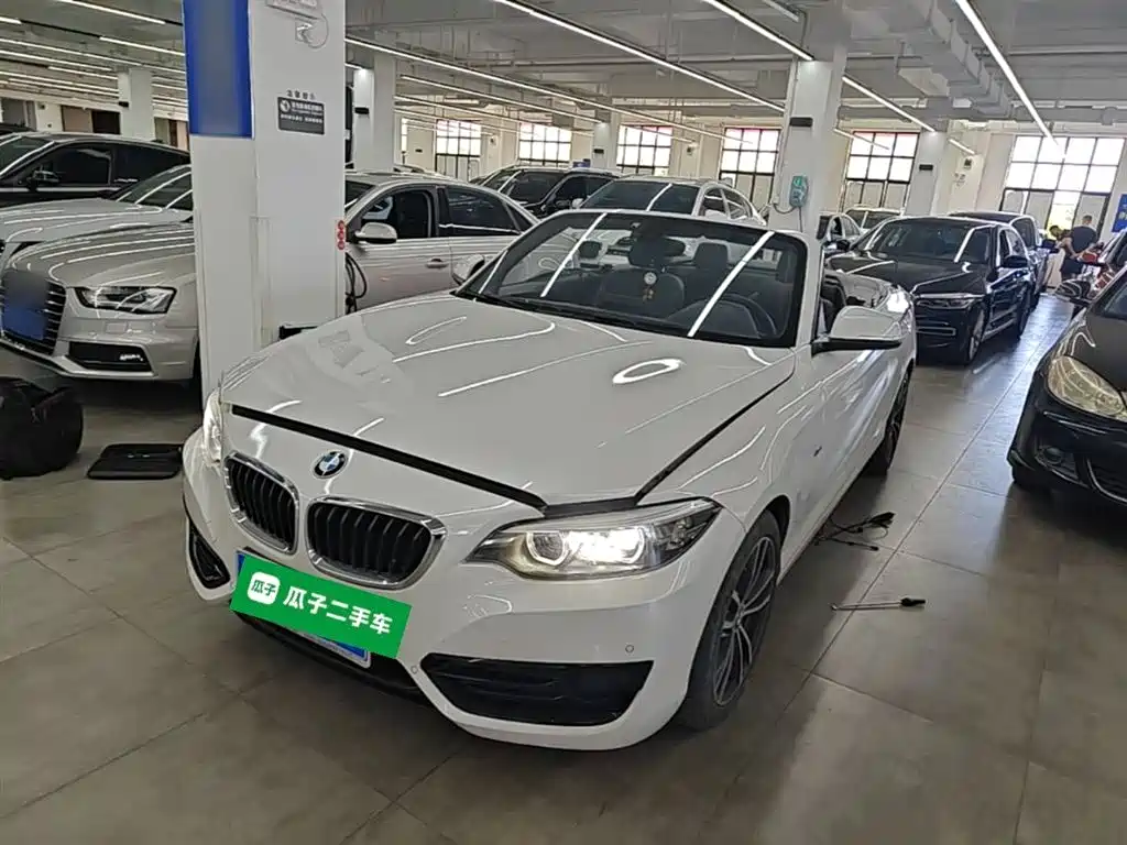 BMW 2 Series (Import) 2018