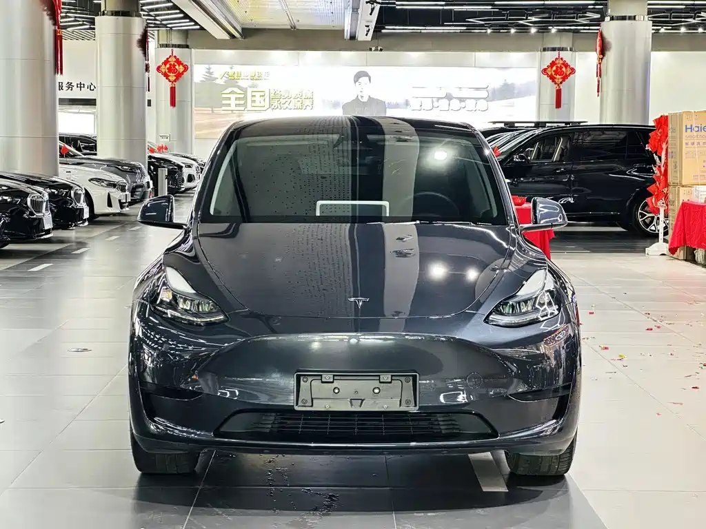 Tesla Model Y — миниатюра 2